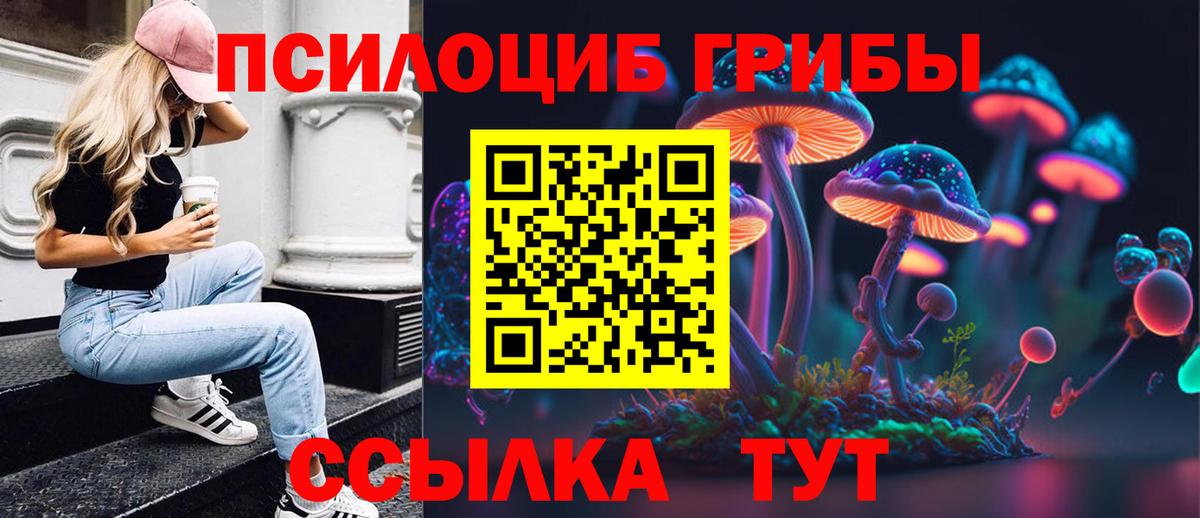 Мыски  закладка  Вход с VPN  Галлюциногенные грибы Magic Shrooms 