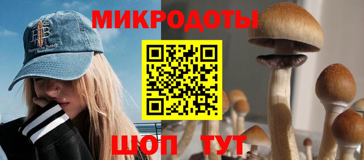 Галлюциногенные грибы Cubensis Мыски